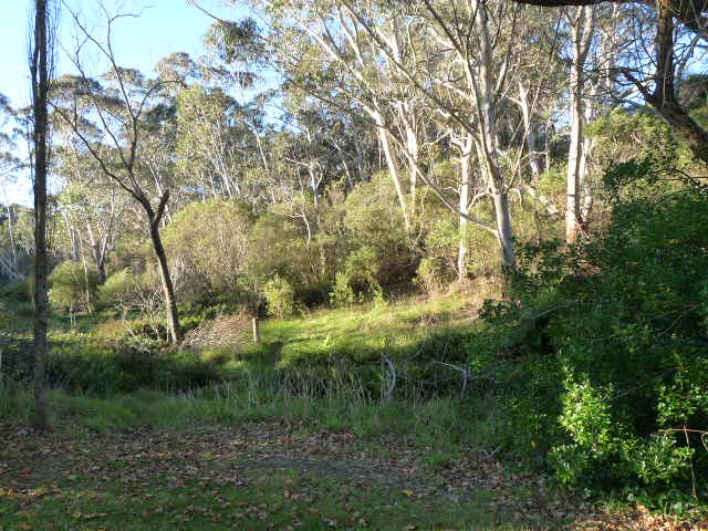 The Gully, Katoomba